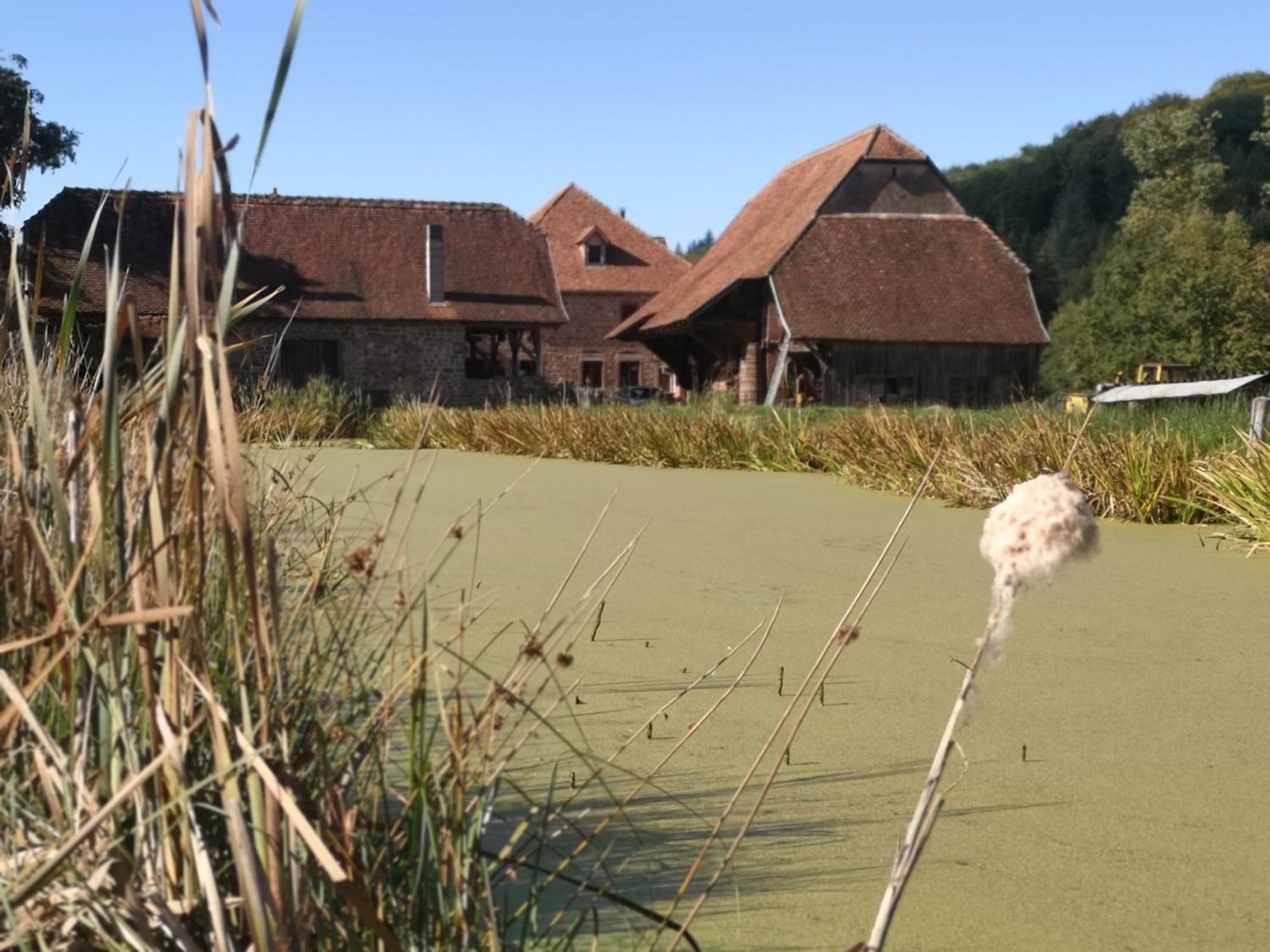 Maison D'Hotes De Charme - Ancien Moulin En Pleine Nature - La Paulusmuehle Soucht Eksteriør billede