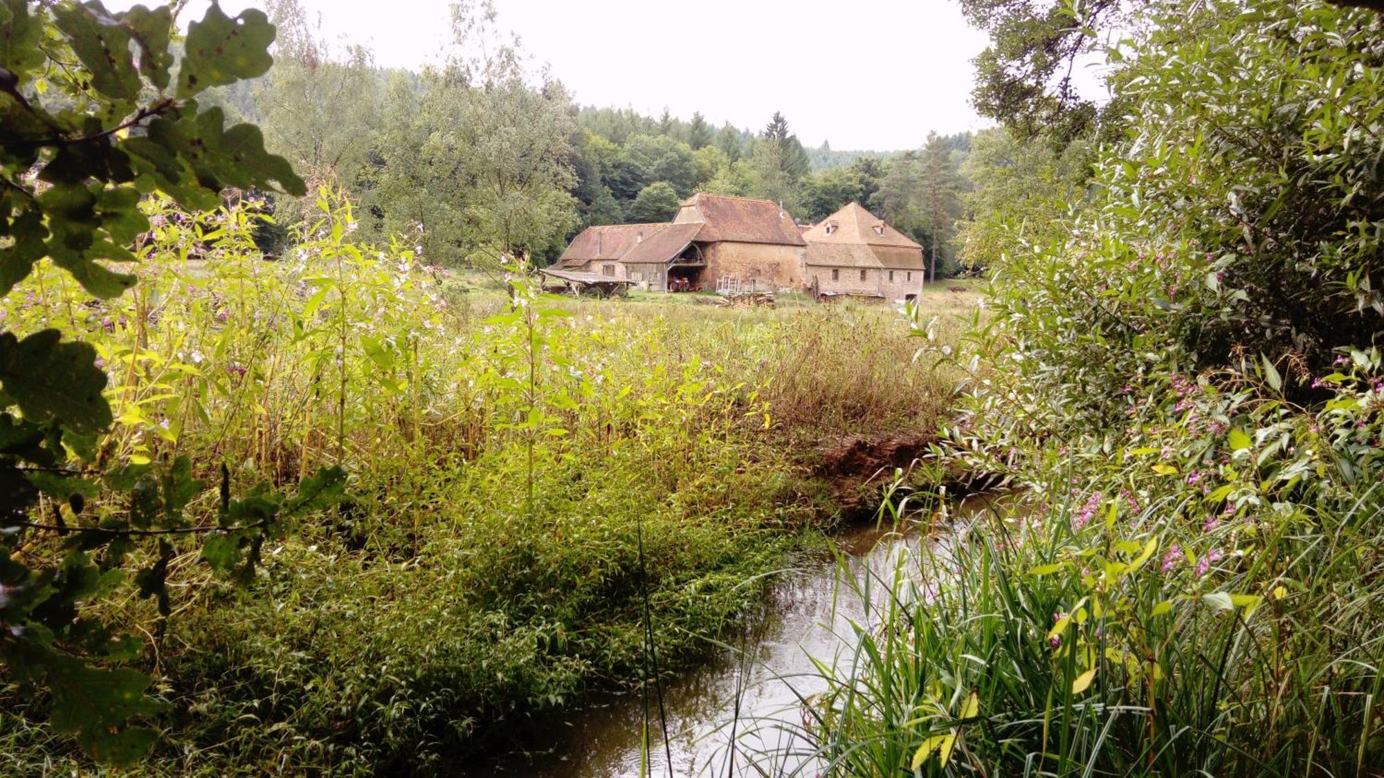 Maison D'Hotes De Charme - Ancien Moulin En Pleine Nature - La Paulusmuehle Soucht Eksteriør billede