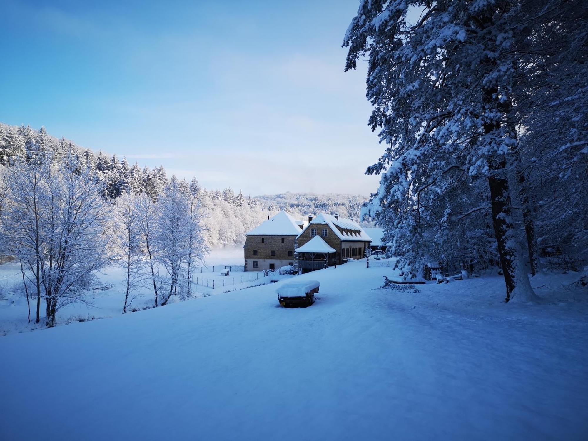 Maison D'Hotes De Charme - Ancien Moulin En Pleine Nature - La Paulusmuehle Soucht Eksteriør billede