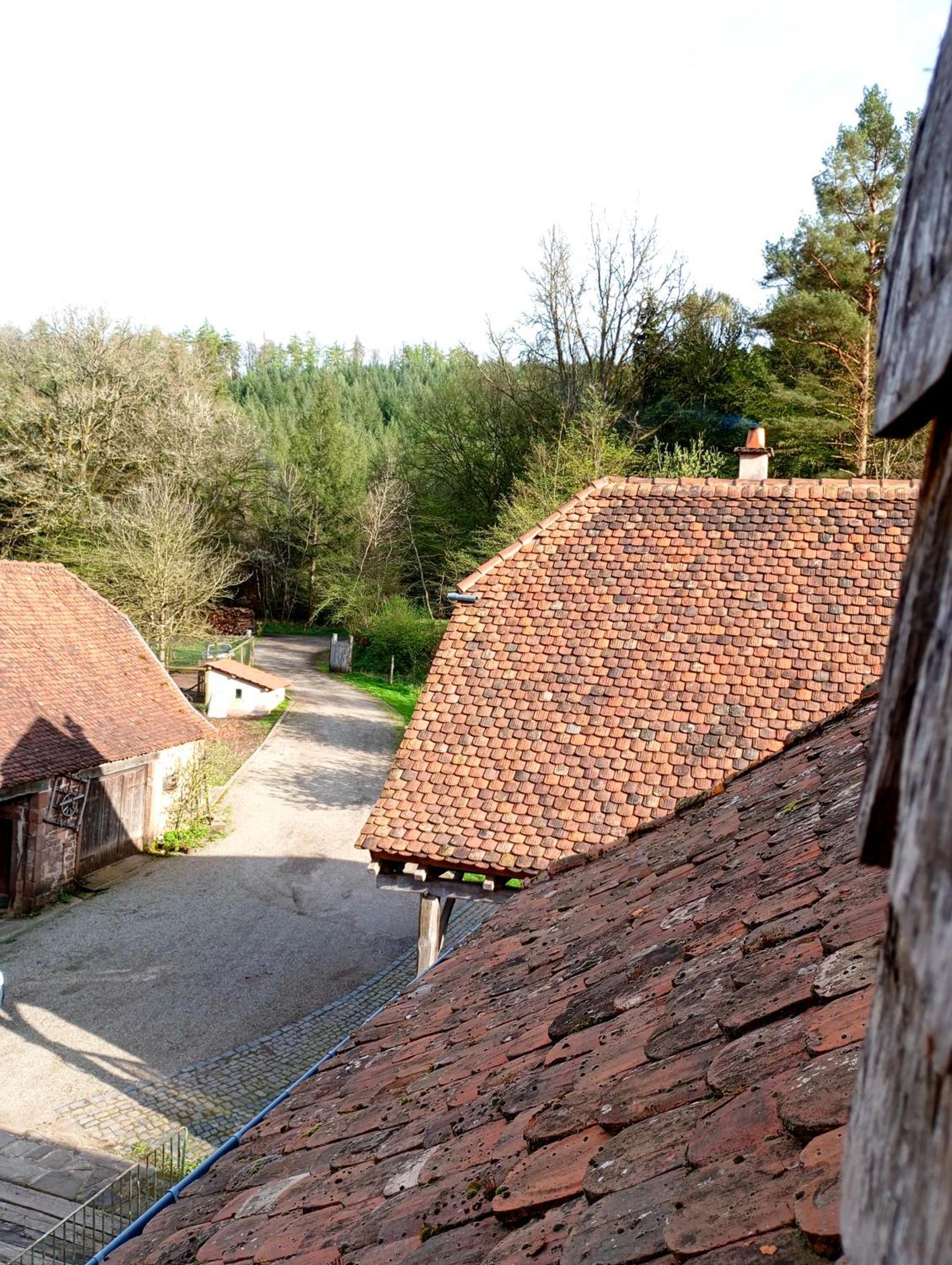Maison D'Hotes De Charme - Ancien Moulin En Pleine Nature - La Paulusmuehle Soucht Eksteriør billede