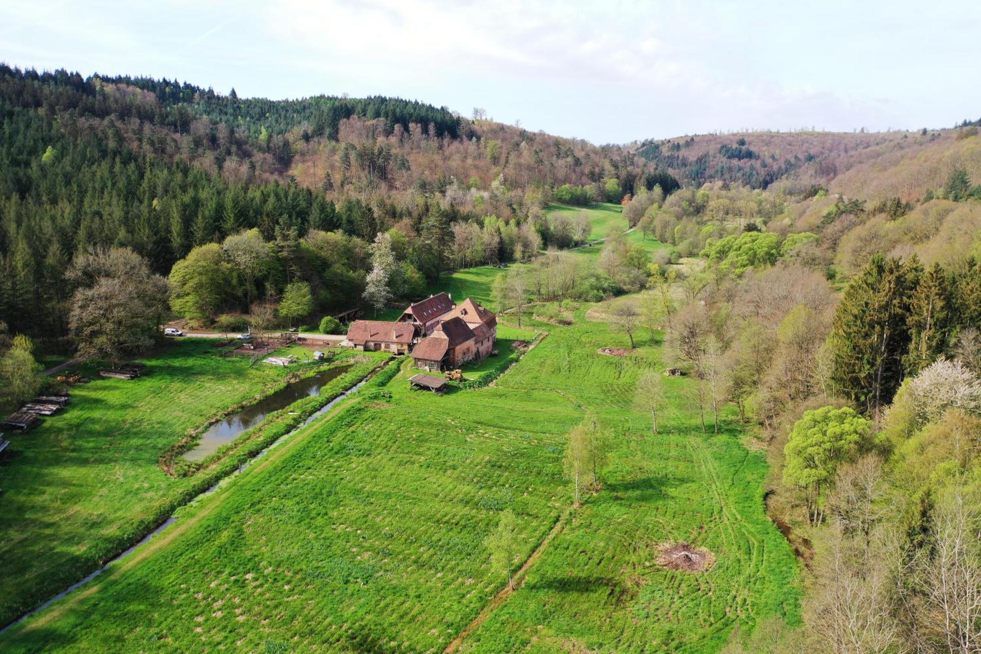 Maison D'Hotes De Charme - Ancien Moulin En Pleine Nature - La Paulusmuehle Soucht Eksteriør billede