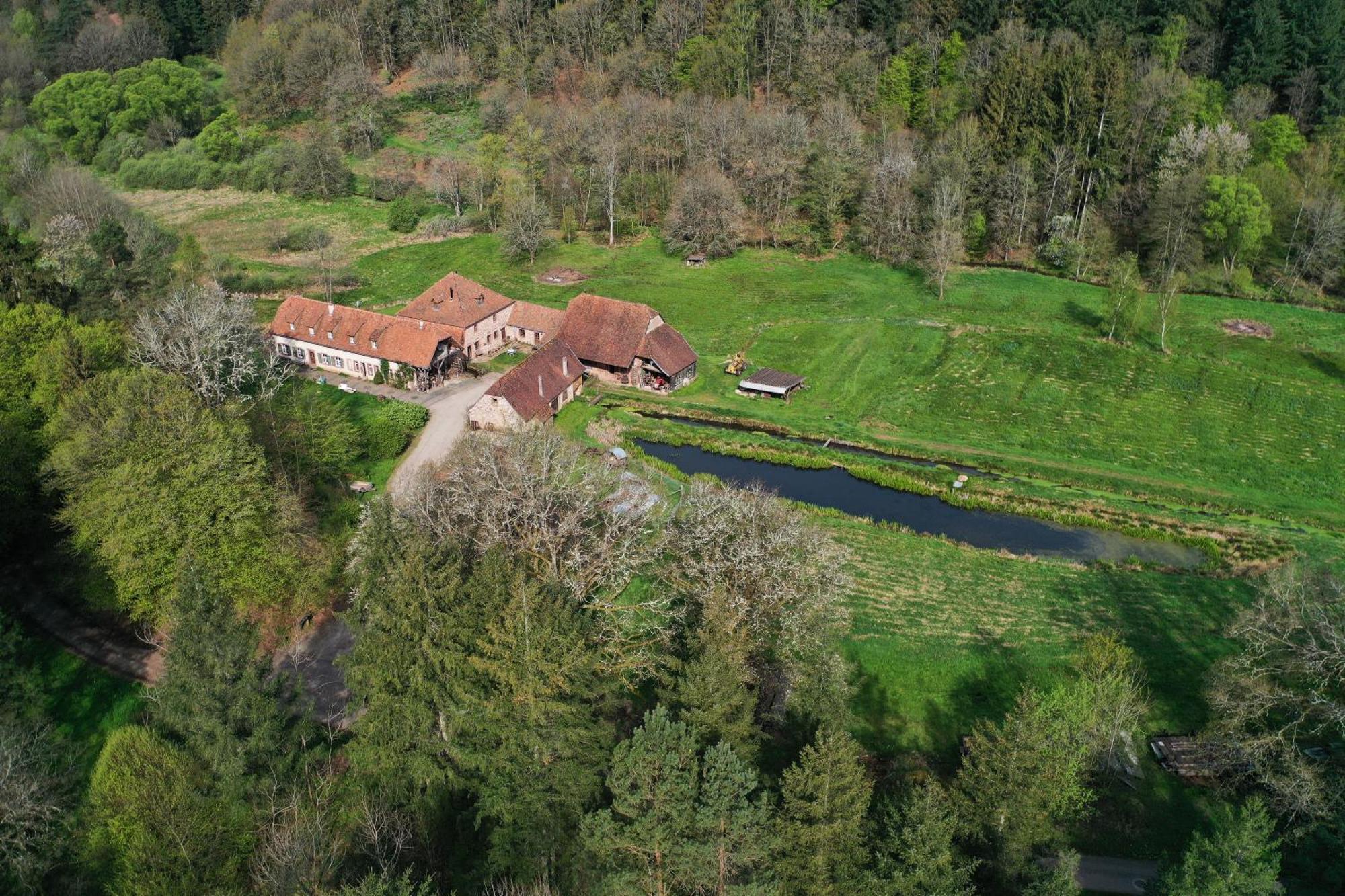 Maison D'Hotes De Charme - Ancien Moulin En Pleine Nature - La Paulusmuehle Soucht Eksteriør billede