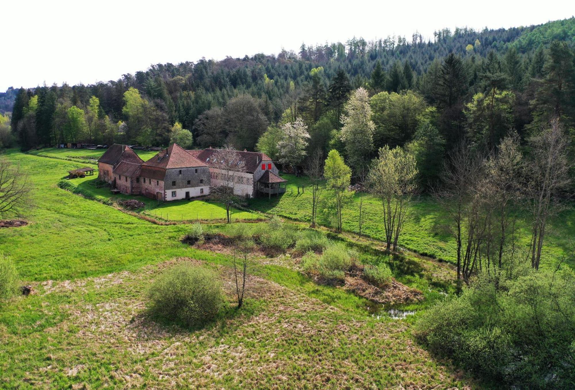 Maison D'Hotes De Charme - Ancien Moulin En Pleine Nature - La Paulusmuehle Soucht Eksteriør billede