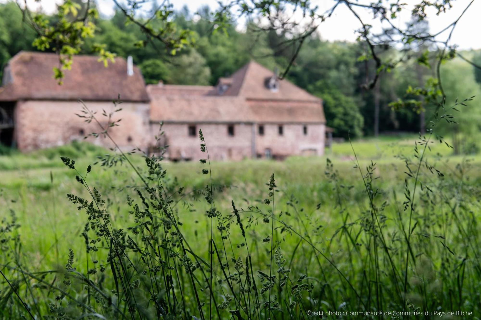 Maison D'Hotes De Charme - Ancien Moulin En Pleine Nature - La Paulusmuehle Soucht Eksteriør billede