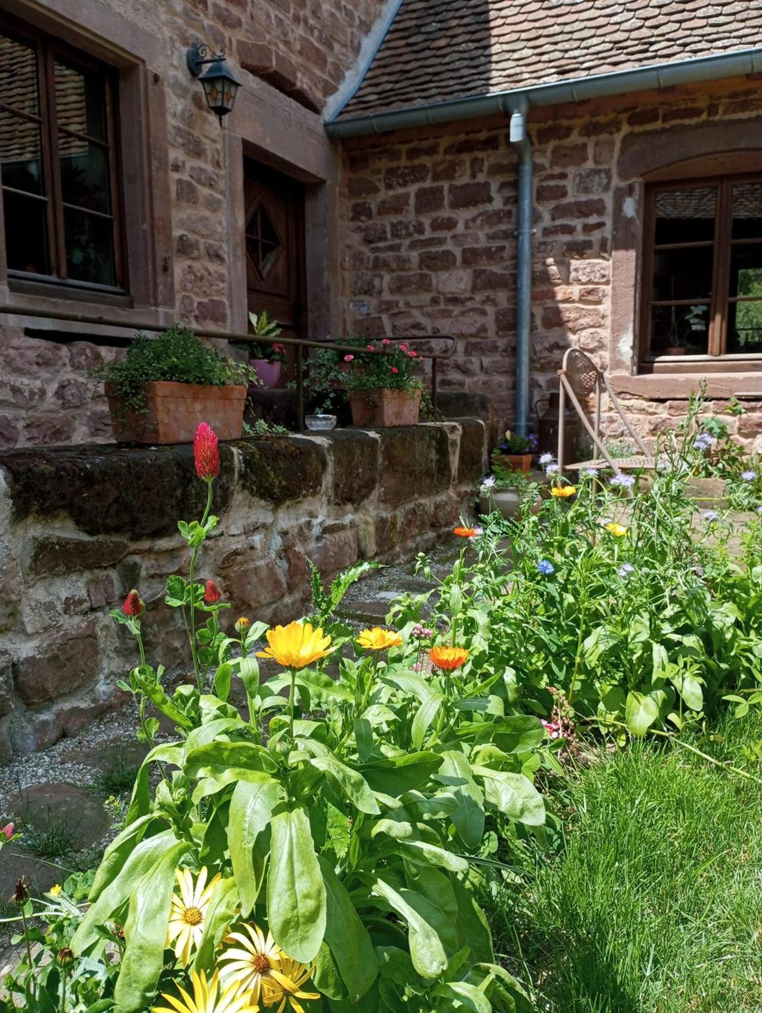 Maison D'Hotes De Charme - Ancien Moulin En Pleine Nature - La Paulusmuehle Soucht Eksteriør billede